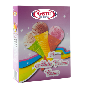 x24 MULTI COLOUR CONES